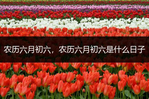 农历六月初六,农历六月初六是什么日子