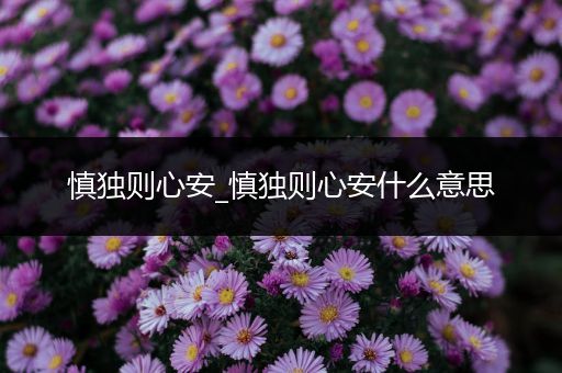 慎独则心安_慎独则心安什么意思