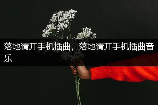 落地请开手机插曲,落地请开手机插曲音乐