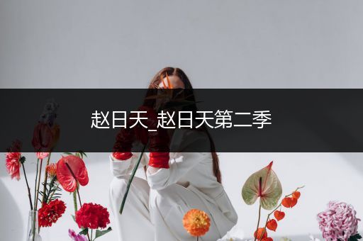 赵日天_赵日天第二季