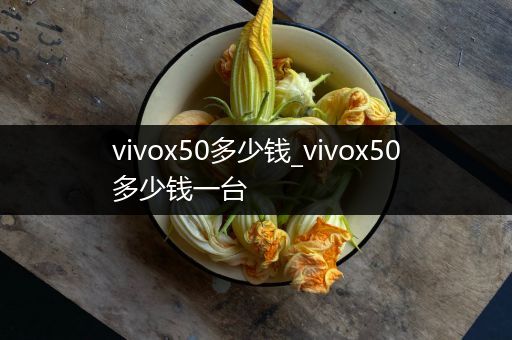 vivox50多少钱_vivox50多少钱一台