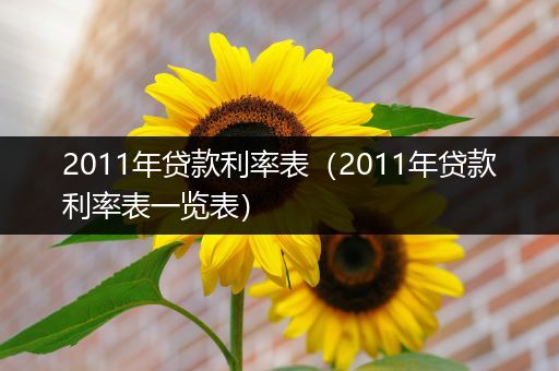 2011年贷款利率表(2011年贷款利率表一览表)