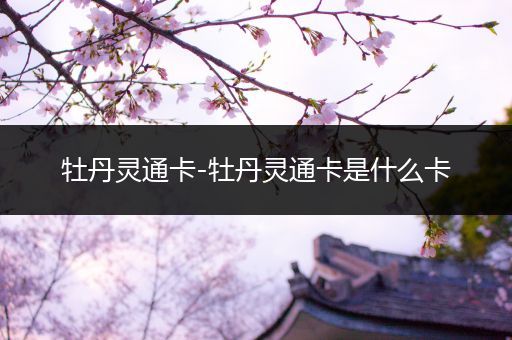 牡丹灵通卡-牡丹灵通卡是什么卡