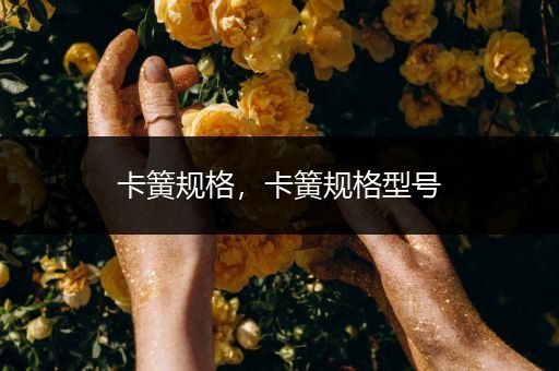 卡簧规格,卡簧规格型号