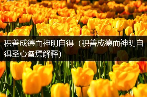 积善成德而神明自得(积善成德而神明自得圣心备焉解释)