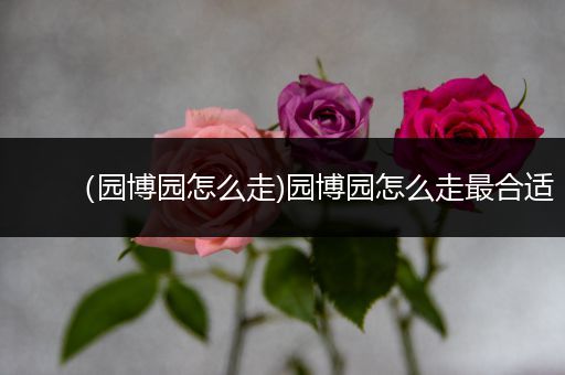 (园博园怎么走)园博园怎么走最合适