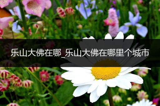 乐山大佛在哪_乐山大佛在哪里个城市