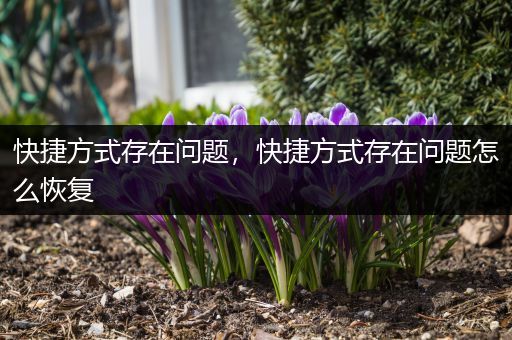 快捷方式存在问题,快捷方式存在问题怎么恢复