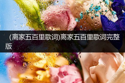 (离家五百里歌词)离家五百里歌词完整版