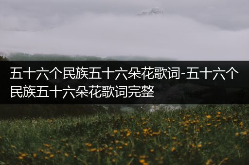 五十六个民族五十六朵花歌词-五十六个民族五十六朵花歌词完整