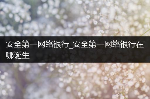 安全第一网络银行_安全第一网络银行在哪诞生