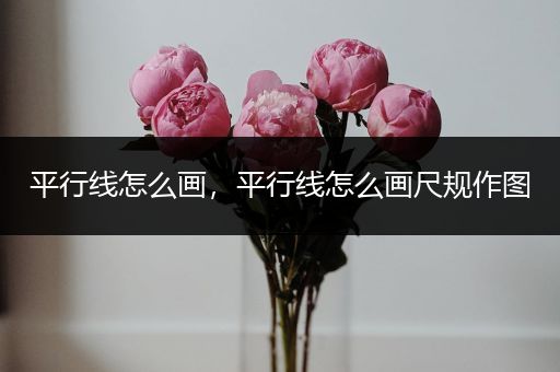 平行线怎么画,平行线怎么画尺规作图
