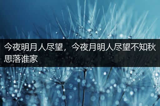 今夜明月人尽望,今夜月明人尽望不知秋思落谁家