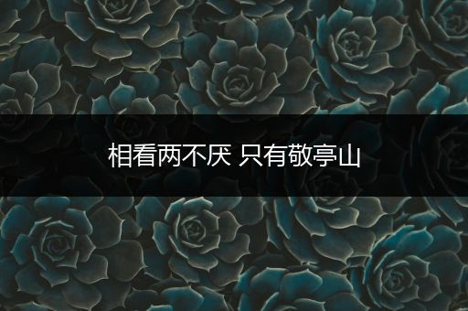 相看两不厌 只有敬亭山