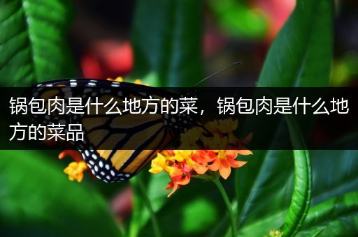 锅包肉是什么地方的菜,锅包肉是什么地方的菜品