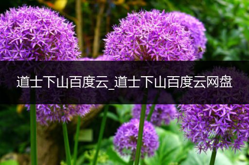 道士下山百度云_道士下山百度云网盘