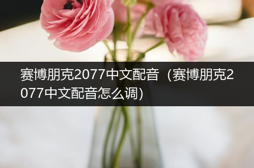 赛博朋克2077中文配音(赛博朋克2077中文配音怎么调)