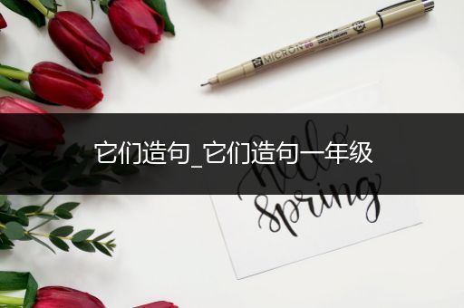 它们造句_它们造句一年级