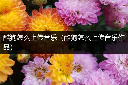 酷狗怎么上传音乐(酷狗怎么上传音乐作品)