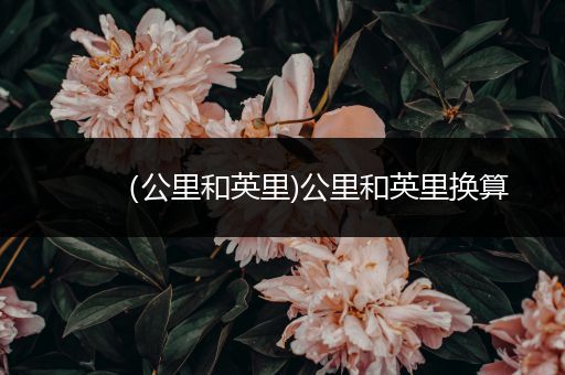 (公里和英里)公里和英里换算