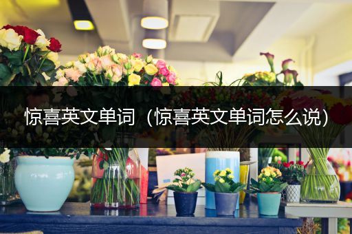 惊喜英文单词(惊喜英文单词怎么说)