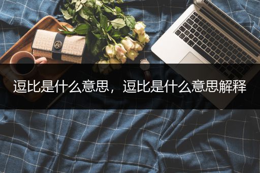 逗比是什么意思,逗比是什么意思解释