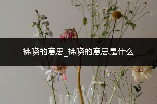 拂晓的意思_拂晓的意思是什么
