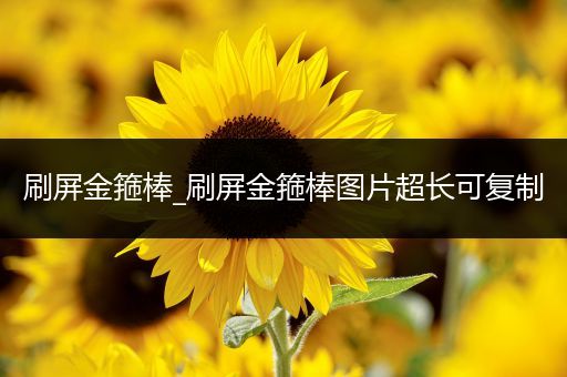 刷屏金箍棒_刷屏金箍棒图片超长可复制