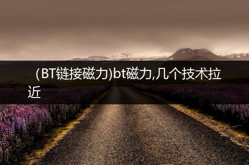 (BT链接磁力)bt磁力,几个技术拉近