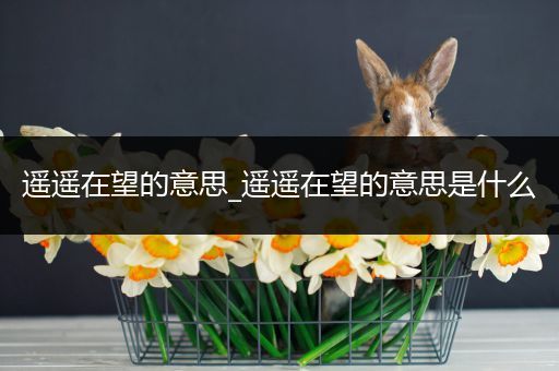 遥遥在望的意思_遥遥在望的意思是什么