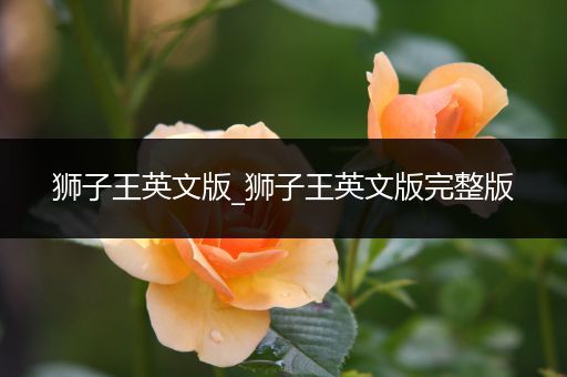 狮子王英文版_狮子王英文版完整版