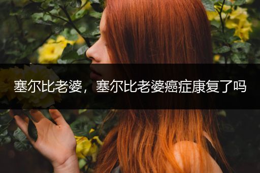 塞尔比老婆,塞尔比老婆癌症康复了吗