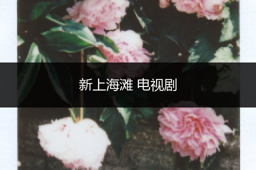 新上海滩 电视剧