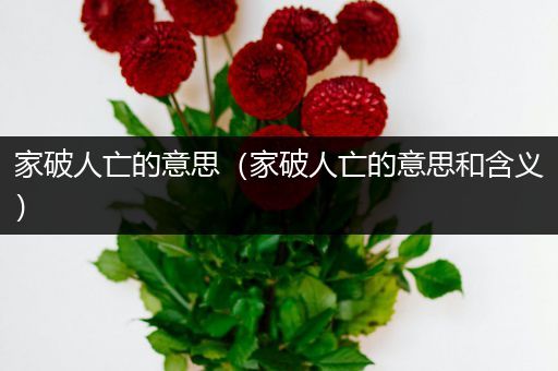 家破人亡的意思(家破人亡的意思和含义)
