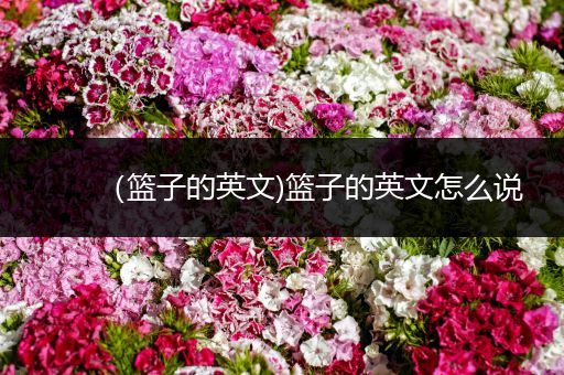 (篮子的英文)篮子的英文怎么说