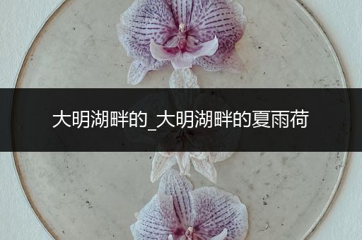 大明湖畔的_大明湖畔的夏雨荷