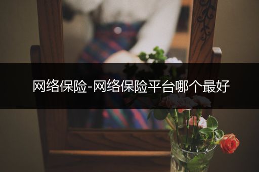 网络保险-网络保险平台哪个最好