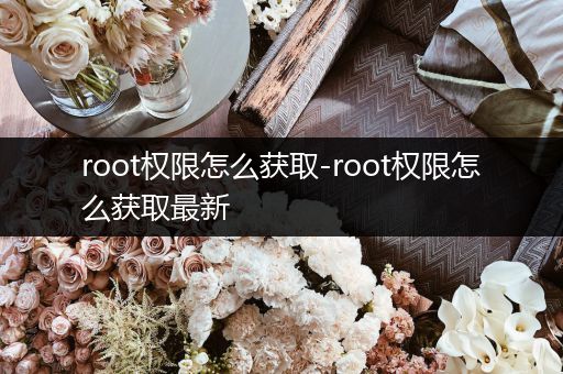 root权限怎么获取-root权限怎么获取最新