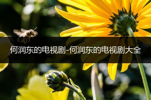 何润东的电视剧-何润东的电视剧大全