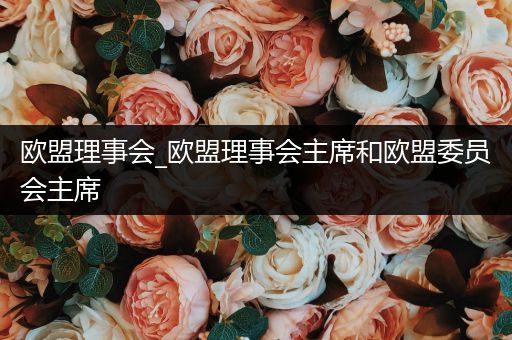 欧盟理事会_欧盟理事会主席和欧盟委员会主席