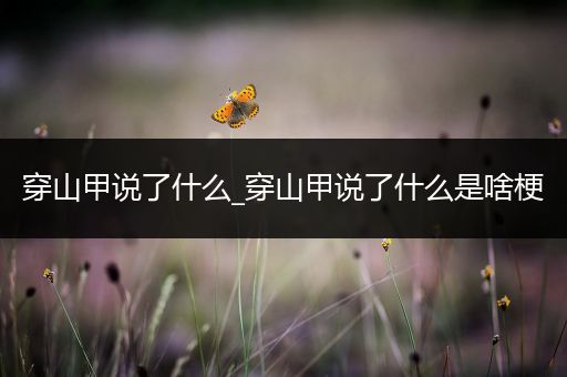 穿山甲说了什么_穿山甲说了什么是啥梗