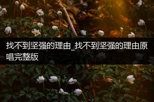 找不到坚强的理由_找不到坚强的理由原唱完整版