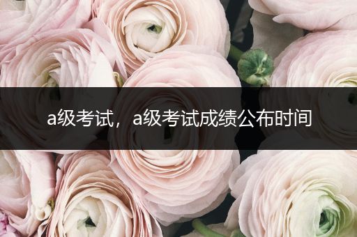 a级考试,a级考试成绩公布时间