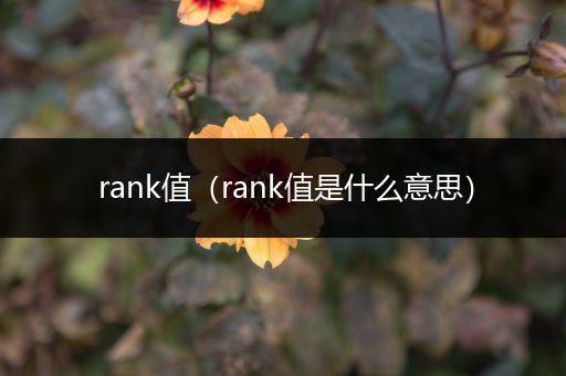 rank值(rank值是什么意思)