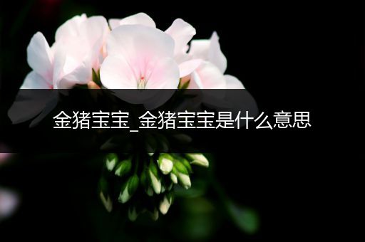 金猪宝宝_金猪宝宝是什么意思