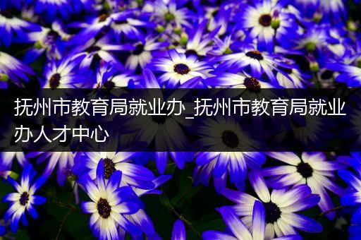 抚州市教育局就业办_抚州市教育局就业办人才中心