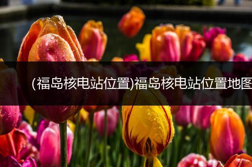 (福岛核电站位置)福岛核电站位置地图