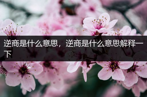 逆商是什么意思,逆商是什么意思解释一下