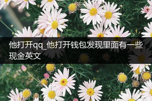 他打开qq_他打开钱包发现里面有一些现金英文