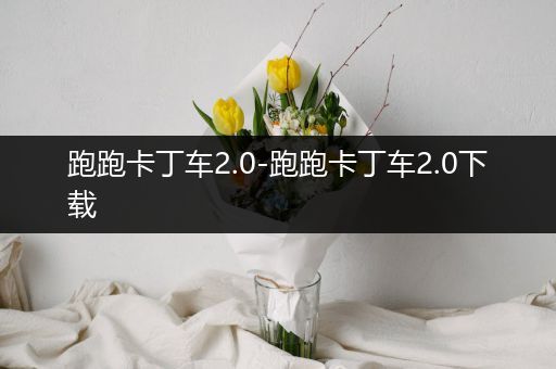 跑跑卡丁车2.0-跑跑卡丁车2.0下载